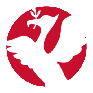 I Met a Liverpool Player